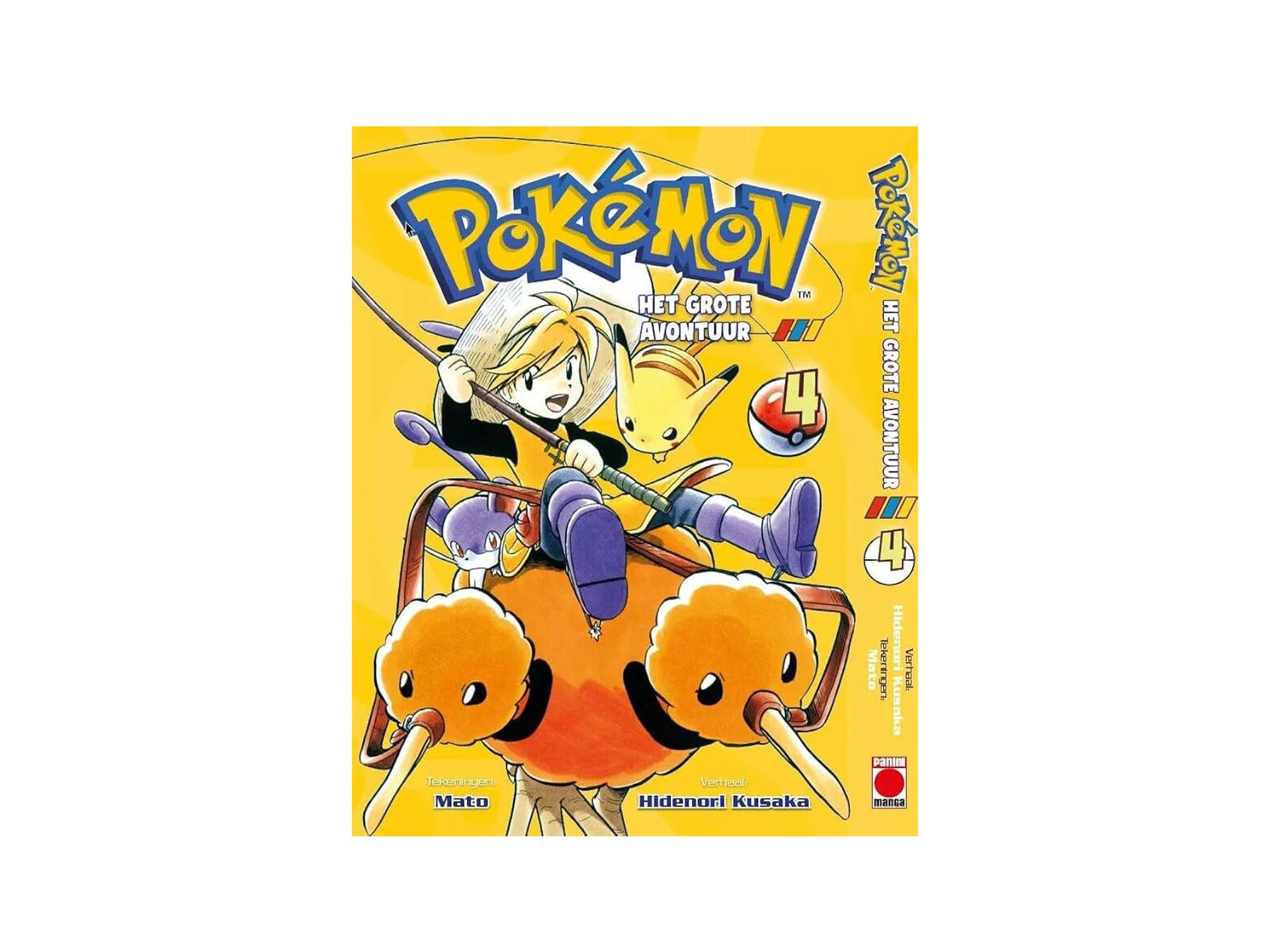 Pokémon Het Grote Avontuur