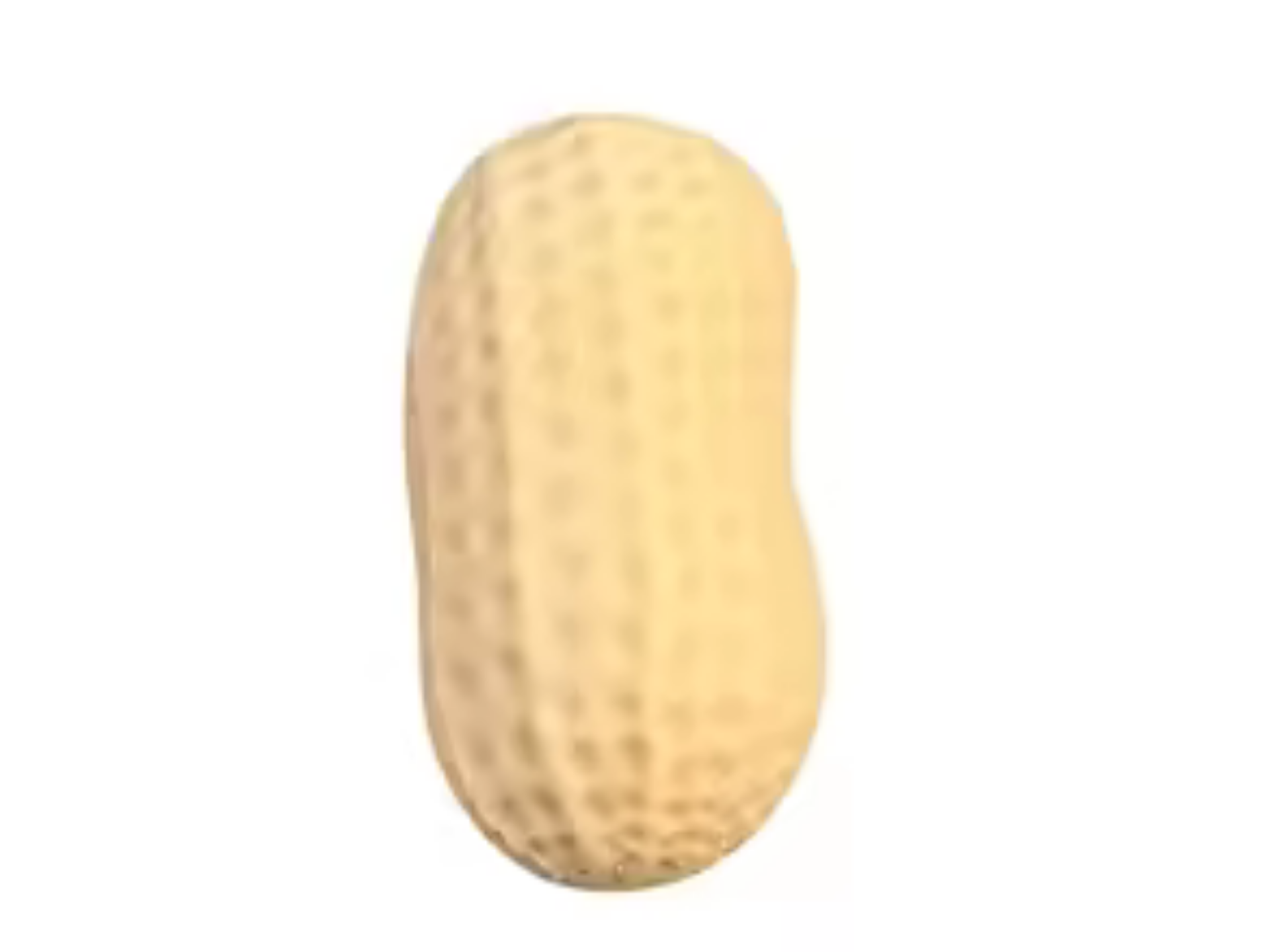 Squishy pinda